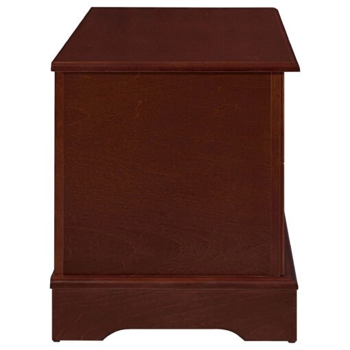 Paula Cedar Chest Warm Brown - Image 11